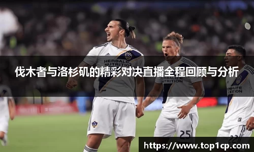 bsports必一体育