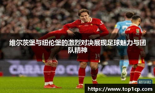 bsports必一体育